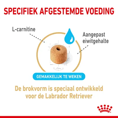 Specifiek afgestemde voeding. L-carnitine, aangepast eiwitgehalte. Gemakkelijk te weken. De brokvorm is speciaal ontwikkeld voor de Labrador Retriever.