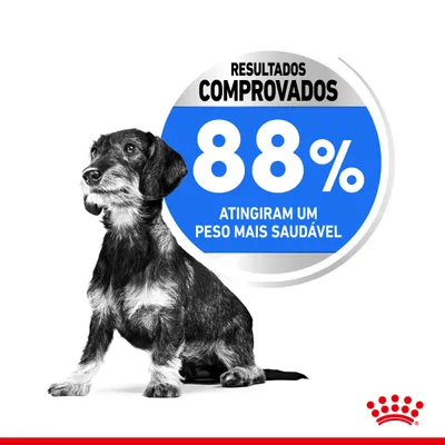 Resultados comprovados: 88% atingiram um peso mais saudável. Imagem de um cão ao lado do texto promocional. Marca Royal Canin visível no canto inferior direito.
