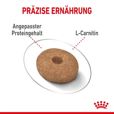 Trockenfutter mit angepasstem Proteingehalt und L-Carnitin für präzise Ernährung. Royal Canin Logo sichtbar.
