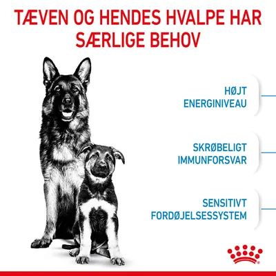 Tæven og hendes hvalpe har særlige behov: højt energiniveau, skrøbeligt immunforsvar, sensitivt fordøjelsessystem. Royal Canin mærke nederst til højre.