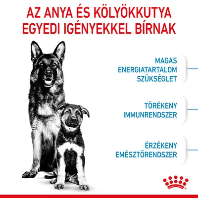 Az anya és kölyökkutya egyedi igényekkel bírnak. Magas energiatartalom szükséglet, törékeny immunrendszer, érzékeny emésztőrendszer. Royal Canin márkajelzés.