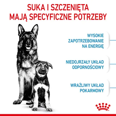 Suka i szczenięta mają specyficzne potrzeby: wysokie zapotrzebowanie na energię, niedojrzały układ odpornościowy, wrażliwy układ pokarmowy. Royal Canin.