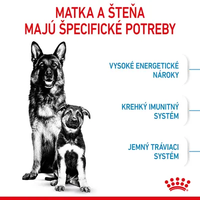 Matka a šteňa majú špecifické potreby: vysoké energetické nároky, krehký imunitný systém, jemný tráviaci systém. Značka Royal Canin.