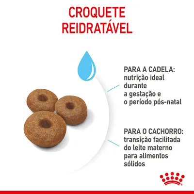 Croquete reidratável. Para a cadela: nutrição ideal durante a gestação e o período pós-natal. Para o cachorro: transição facilitada do leite materno para alimentos sólidos.