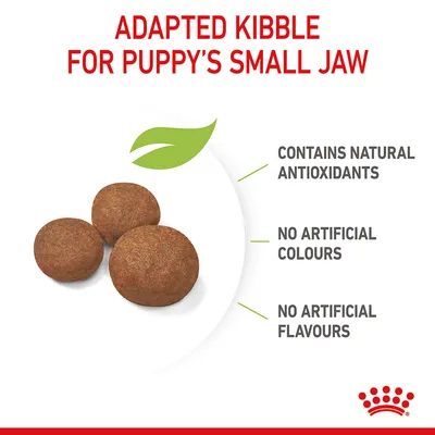 Adapted kibble for small jaws. Contains natural antioxidants, no artificial colours, no artificial flavours.