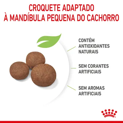 Croquete adaptado à mandíbula pequena do cachorro. Contém antioxidantes naturais, sem corantes artificiais, sem aromas artificiais. Três croquetes castanhos visíveis.