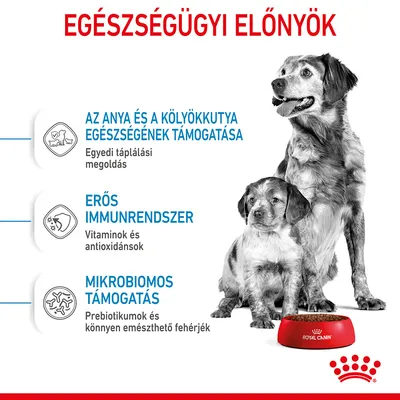EGÉSZSÉGÜGYI ELŐNYÖK: az anya és a kölyökkutya egészségének támogatása, erős immunrendszer, mikrobiomos támogatás. Royal Canin tál két kutyával.