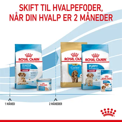 Skift til hvalpefoder, når din hvalp er 2 måneder. Royal Canin Starter 1–2 måneder, Puppy Cocker og Puppy Medium 2–12 måneder. Viser tør- og vådfoderpakker med hundebilleder.