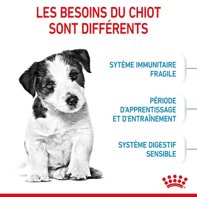 Les besoins du chiot sont différents : système immunitaire fragile, période d’apprentissage et d’entraînement, système digestif sensible. Marque Royal Canin visible.