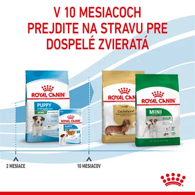 V 10 mesiacoch prejdite na stravu pre dospelé zvieratá. Royal Canin Puppy Mini od 2 do 10 mesiacov, potom Royal Canin Adult Dachshund alebo Mini Adult. Zobrazené balenia krmiva.