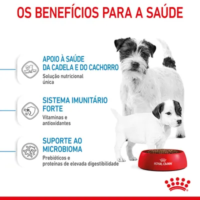 Os benefícios para a saúde: apoio à saúde da cadela e do cachorro, sistema imunitário forte, suporte ao microbioma. Royal Canin. Texto em português.