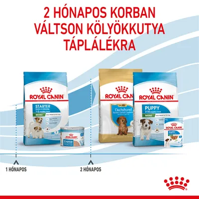 2 hónapos korban váltson kölyökkutya táplálékra. Royal Canin Starter 1–2 hónapos, Puppy 2–10 hónapos tápok és konzervek képekkel, 1 és 2 hónapos jelöléssel.
