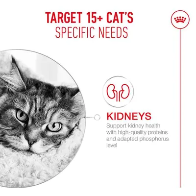 Royal Canin Ageing 15+ Mousse