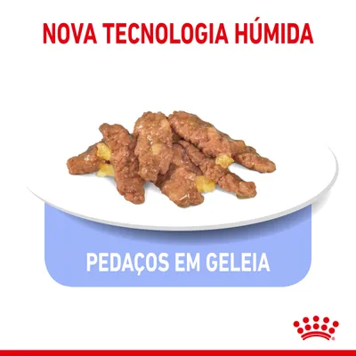 Nova tecnologia húmida. Pedaços em geleia apresentados num prato. Marca Royal Canin visível no canto inferior direito.