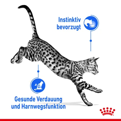 Instinktiv bevorzugt. Gesunde Verdauung und Harnwegsfunktion. Royal Canin Logo unten rechts.