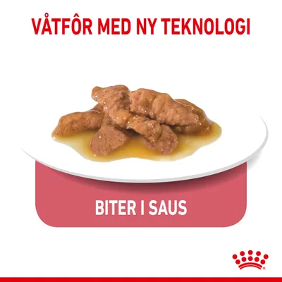 Royal Canin Indoor Sterilized i saus