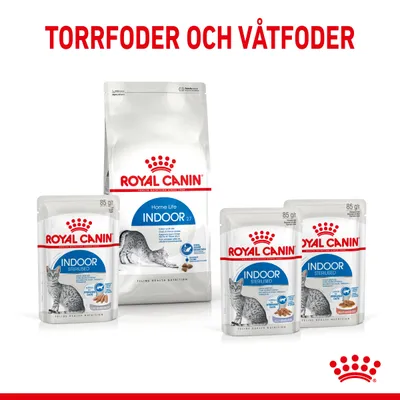 Royal Canin torrfoder och våtfoder för innekatt, synliga produkter: Home Life Indoor 27 torrfoder samt Indoor Sterilised våtfoder 85 g. Text: TORRFODER OCH VÅTFODER.