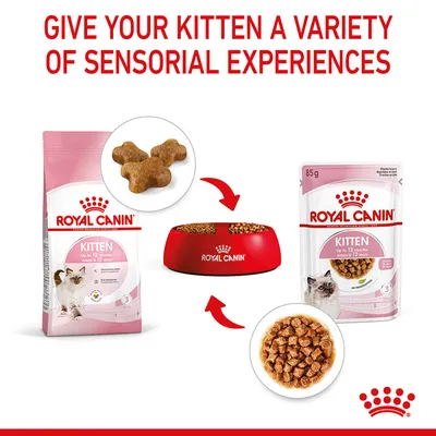 Image shows Royal Canin Kitten dry and wet food with a feeding bowl, highlighting different textures for kittens up to 12 months. Text: Give your kitten a variety of sensorial experiences.