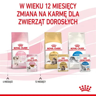 W wieku 12 miesięcy zmiana na karmę dla zwierząt dorosłych. Royal Canin Kitten do 12 miesięcy, po 12 miesiącach Royal Canin Maine Coon Adult i Indoor. Widoczne opakowania produktów.