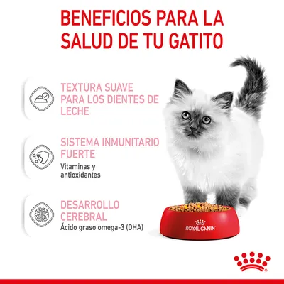 Beneficios para la salud de tu gatito: textura suave para los dientes de leche, sistema inmunitario fuerte (vitaminas y antioxidantes), desarrollo cerebral (ácido graso omega-3 DHA).