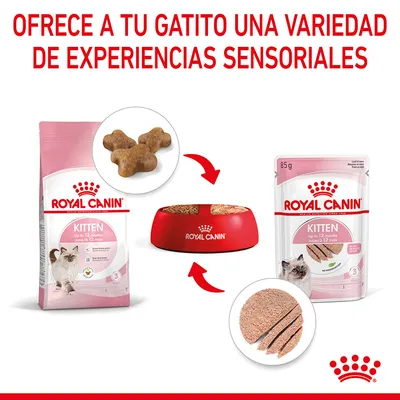 Royal Canin Kitten hasta 12 meses, pienso seco y comida húmeda en envase de 85 g, con imágenes del producto y texto: Ofrece a tu gatito una variedad de experiencias sensoriales.