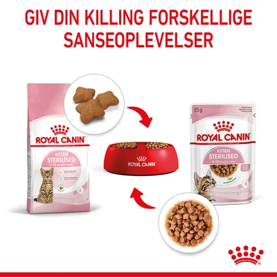 Royal Canin Kitten Sterilised 6–12 months tør- og vådfoder, poser og skål med foder. Tekst: Giv din killing forskellige sanseoplevelser.