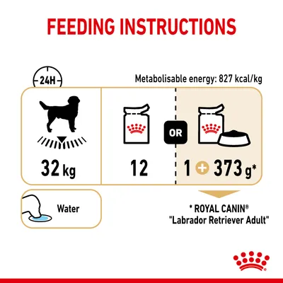 Feeding instructions: for 32kg, feed either 12 portions or 1 portion plus 373g. Metabolisable energy is 827 kcal/kg. Ensure water is available. For Royal Canin Labrador Retriever Adult.