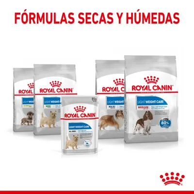 Royal Canin Light Weight Care para perros, fórmulas secas y húmedas. Variedades: X-Small, Mini, Maxi, Medium, All Sizes. Texto visible: 80 %, 85 g.