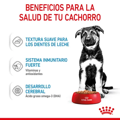 Beneficios para la salud de tu cachorro: textura suave para los dientes de leche, sistema inmunitario fuerte con vitaminas y antioxidantes, desarrollo cerebral con DHA. Royal Canin.