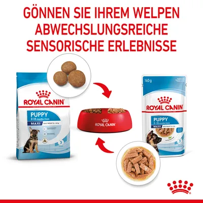 Royal Canin Puppy Maxi für Welpen von 2-15 Monaten. Trockenfutter und Nassfutter für sensorische Abwechslung. Rote Futterschale mit Futterabbildungen.
