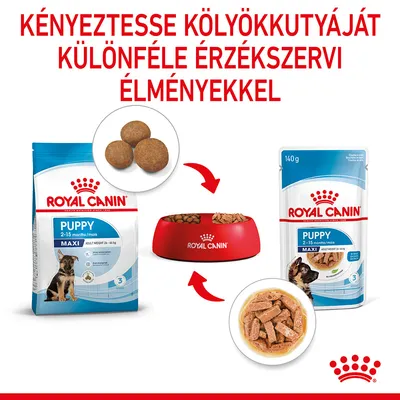 Royal Canin Maxi Puppy szószban