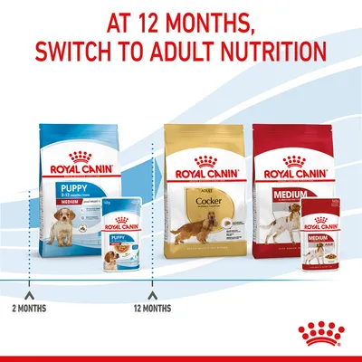 Feeding guide showing to switch from puppy food at 2-12 months to adult nutrition at 12 months, with product packs for each stage.