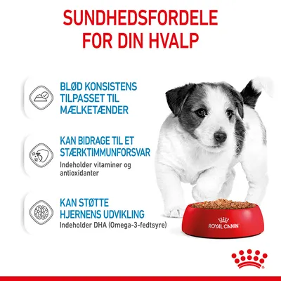 Sundhedsfordele for din hvalp: blød konsistens til mælketænder, kan bidrage til stærkt immunforsvar med vitaminer og antioxidanter, kan støtte hjernens udvikling med DHA (Omega-3-fedtsyre).