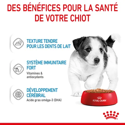 Des bénéfices pour la santé de votre chiot : texture tendre pour les dents de lait, système immunitaire fort (vitamines & antioxydants), développement cérébral (oméga-3 DHA). Royal Canin.