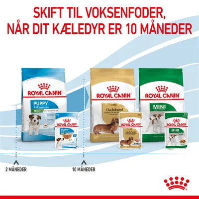 Royal Canin Puppy 2–10 måneder, skift til voksenfoder ved 10 måneder. Viser poser og dåser med Royal Canin Puppy, Adult Dachshund og Mini Adult hundefoder.