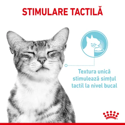 Stimulare tactilă. Textura unică stimulează simțul tactil la nivel bucal. Imagine cu pisică și pictogramă explicativă. Text vizibil în limba română.