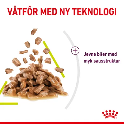 Royal Canin Sensory Smell i saus