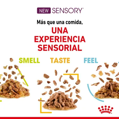 Texto: NEW SENSORY. Más que una comida, UNA EXPERIENCIA SENSORIAL. SMELL, TASTE, FEEL. Tres montones de comida húmeda para mascotas con trozos y salsa.