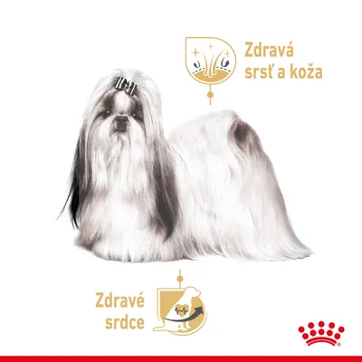 Pes s dlhšou srsťou, text: Zdravá srsť a koža, Zdravé srdce. Ikony znázorňujúce srsť a srdce. Logo Royal Canin v pravom dolnom rohu.