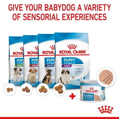 Image shows Royal Canin Puppy food for different age ranges and sizes, with dry kibble shapes and a can of wet starter food. Text: Give your babydog a variety of sensorial experiences.