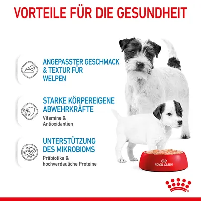 Texte en allemand : avantages pour la santé, goût et texture adaptés aux chiots, défenses naturelles fortes, soutien du microbiome. Royal Canin visible sur la gamelle.