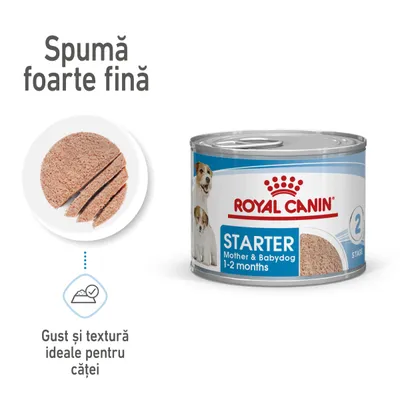 Conservă Royal Canin Starter Mother & Babydog 1–2 months, spumă foarte fină, gust și textură ideale pentru căței, imagine cu produsul și secțiune de hrană tăiată.