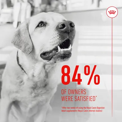 84% of owners were satisfied after two weeks of using the Royal Canin Digestion Adult supplements, based on Royal Canin internal studies.