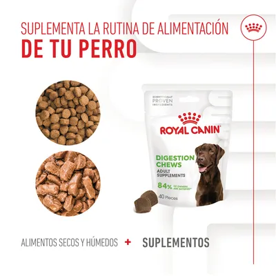 ROYAL CANIN Digestion Chews Adult Supplements, 40 piezas. Imagen de croquetas secas, húmedas y suplemento. Texto: Suplementa la rutina de alimentación de tu perro. 84 % propietarios satisfechos.