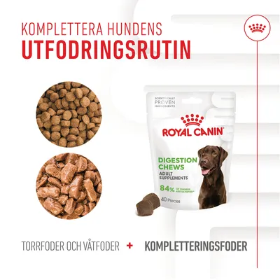 Royal Canin Digestion Chews Adult Supplements 40 bitar, bild på torrfoder, våtfoder och kompletteringsfoder. Text: Komplettera hundens utfodringsrutin, 84 % av ägare är nöjda.