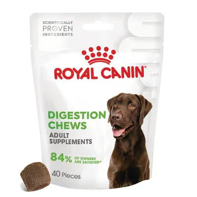 Royal Canin Digestion Chews Adult Supplements, 84% of owners are satisfied, 40 pieces. Wetenschappelijk bewezen ingrediënten. Afbeelding van een bruine hond en een kauwbrokje zichtbaar.