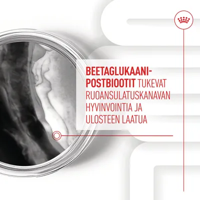 BEETAGLUKAANI-POSTBIOOTIT tukevat ruoansulatuskanavan hyvinvointia ja ulosteen laatua