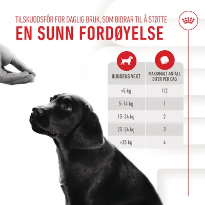 Royal Canin Puppy Immunity & Digestion Chews kosttilskudd