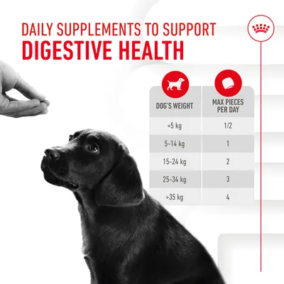 Daily supplements to support digestive health. Feeding guide: under 5kg, 0.5 piece; 5-14kg, 1; 15-24kg, 2; 25-34kg, 3; over 35kg, 4 pieces per day.