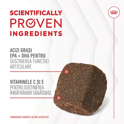Text în engleză: Scientifically Proven Ingredients. Acizi grași EPA + DHA pentru susținerea funcției articulare. Vitaminele C și E pentru susținerea îmbătrânirii sănătoase.